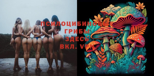 МДПВ Алексеевка