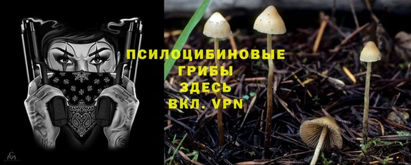 МДПВ Алексеевка