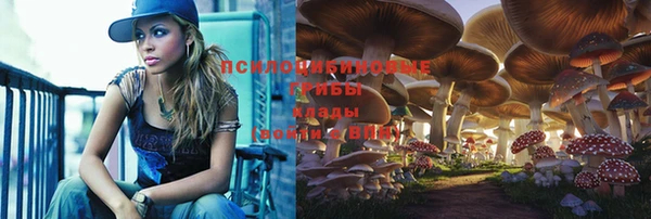 МДПВ Алексеевка