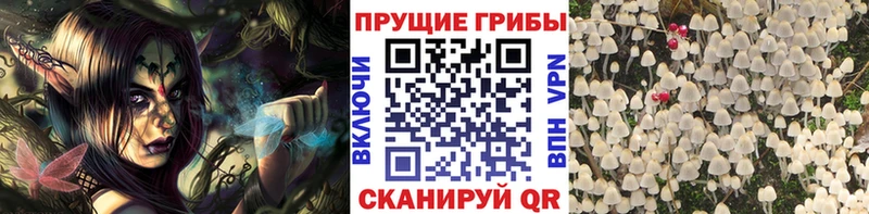 Галлюциногенные грибы прущие грибы МЕГА ссылки Апатиты купить наркотики сайты
